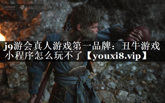<strong>j9游会真人游戏第一品牌：丑牛游</strong>