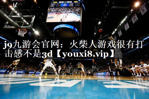 火柴人游戏很有打击感不是3d