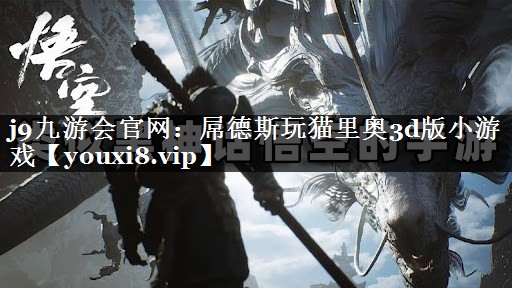 屌德斯玩猫里奥3d版小游戏