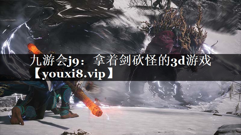 拿着剑砍怪的3d游戏