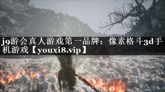 像素格斗3d手机游戏